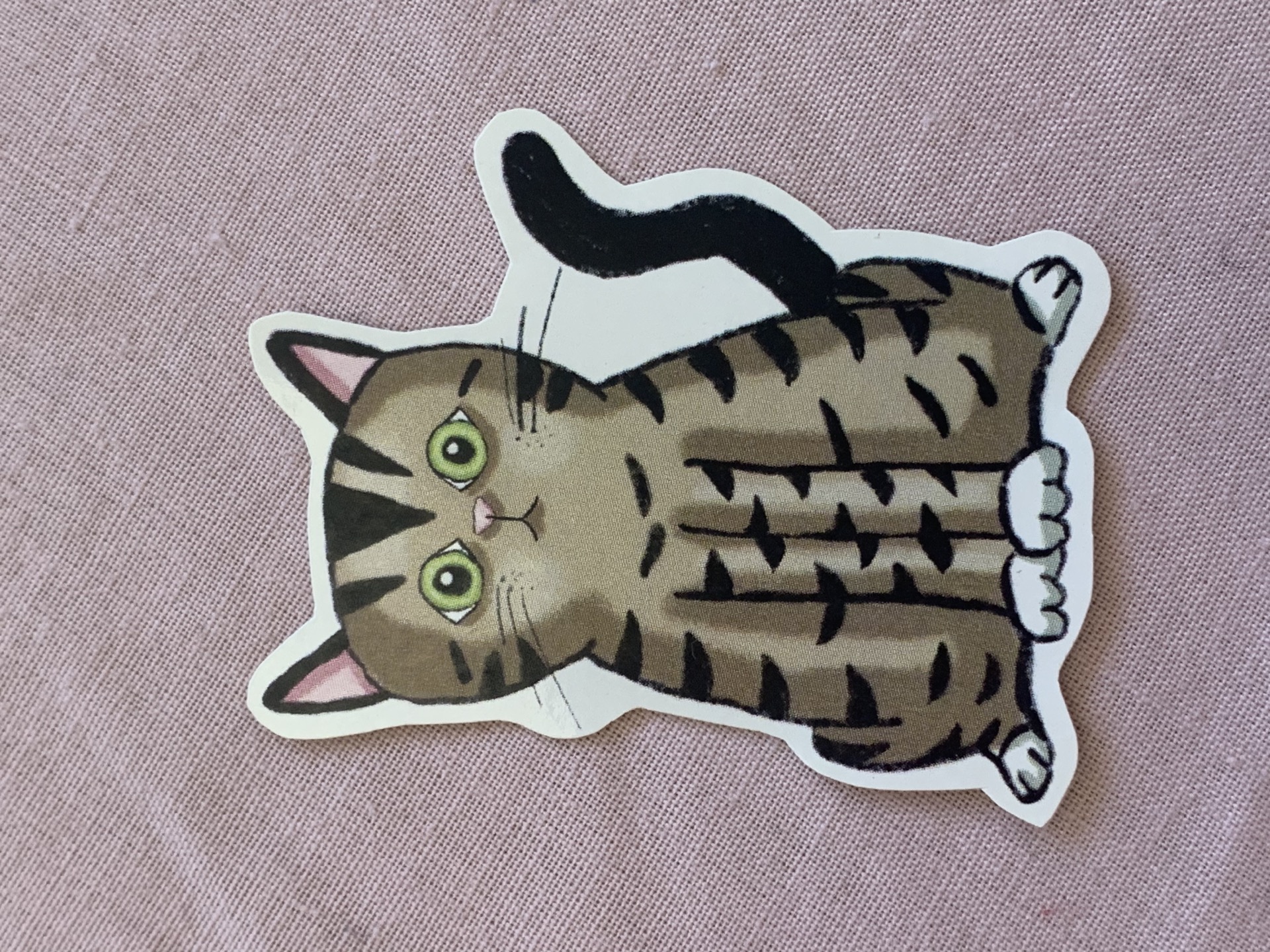 Brown Tabby Cat Sticker