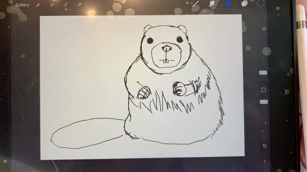 initial sketch of a beaver