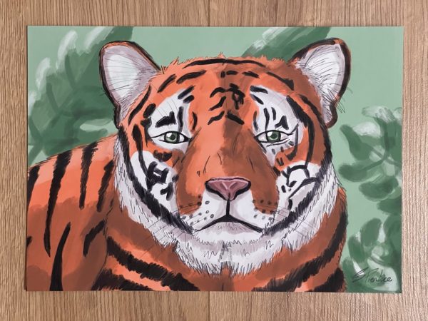 Tigress the Greatness A4 Print